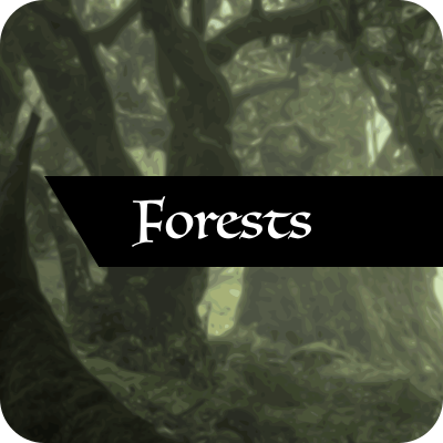 A button leading to the "forests" page